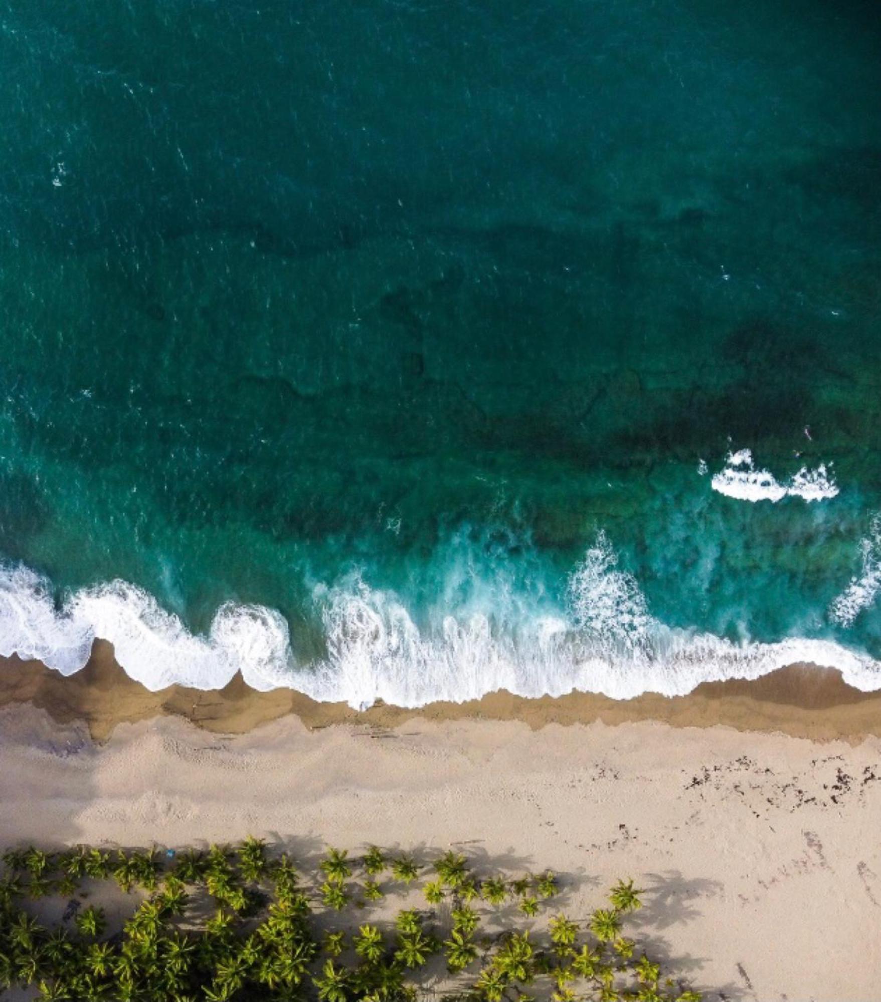 Beachfront Paradise 마누엘안토니오 외부 사진
