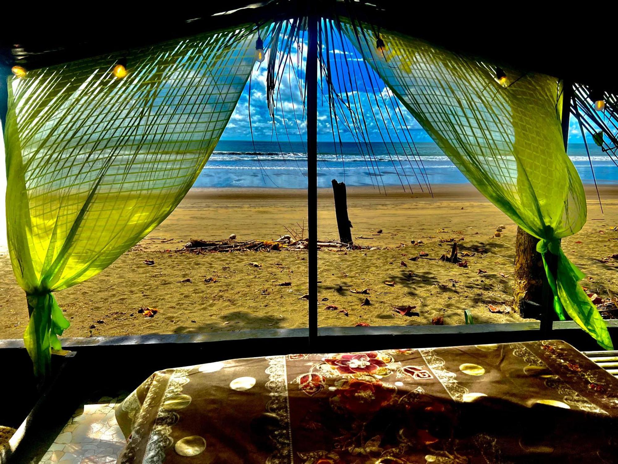 Beachfront Paradise 마누엘안토니오 외부 사진
