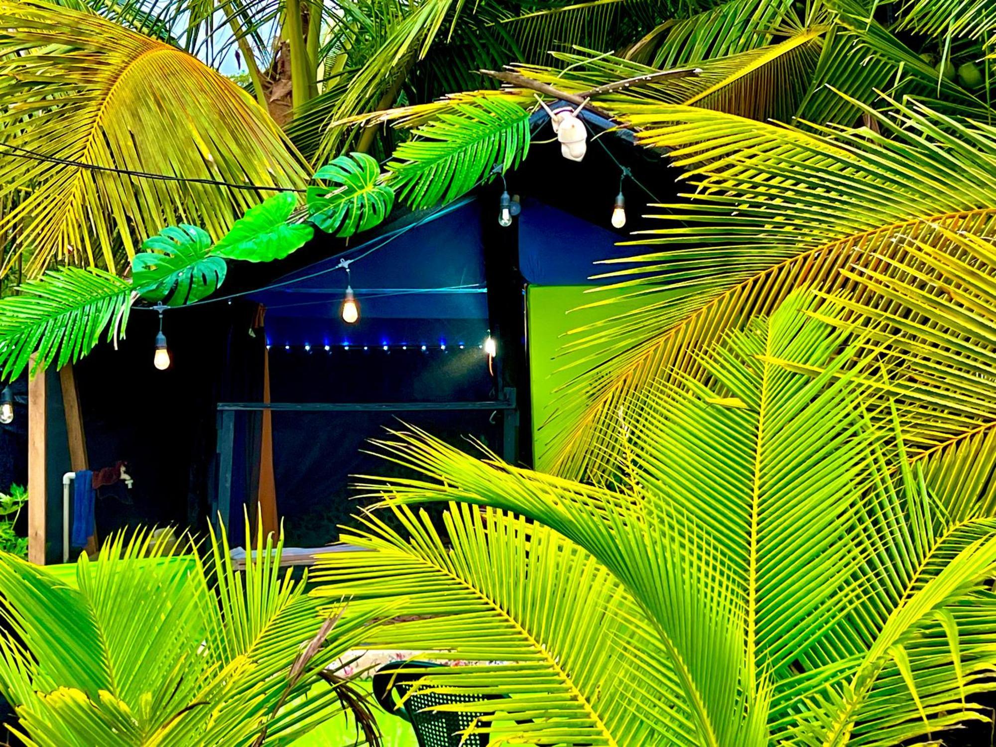 Beachfront Paradise 마누엘안토니오 외부 사진